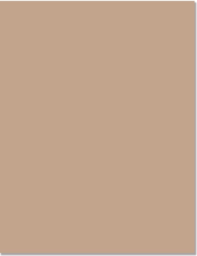 Hero Arts Hero Hues Premium 8.5"X11" Cardstock 10/Pkg - Sand