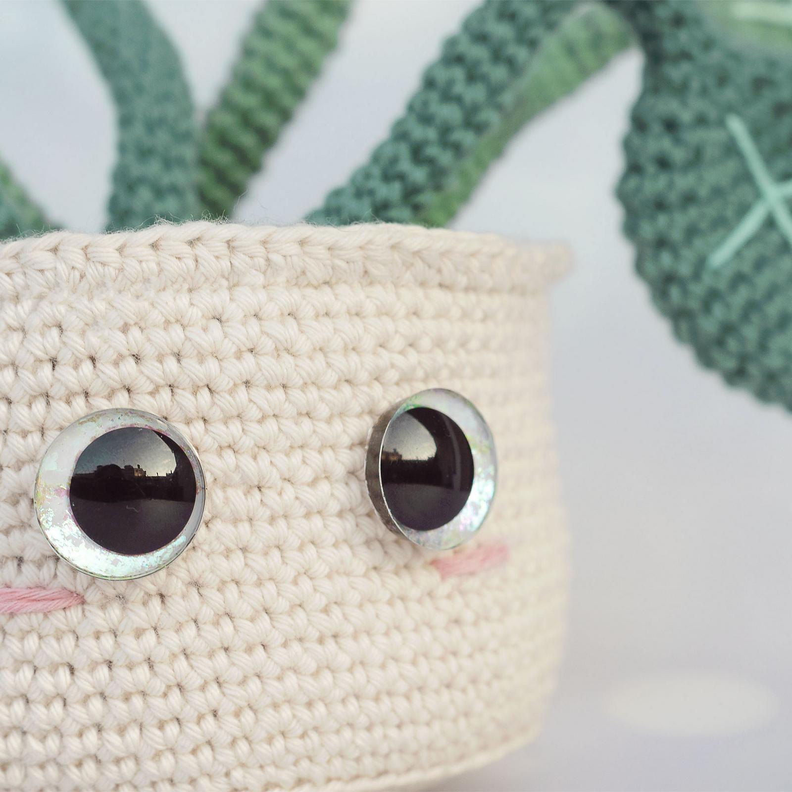 Plant and Worm