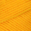 Bright Yellow (608)