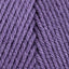 Lilac (1538)