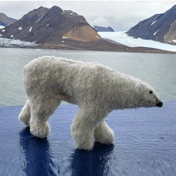 Polar bear