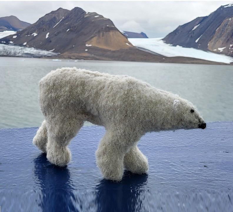 Polar bear
