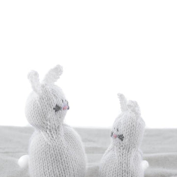 Little Easter Bunny