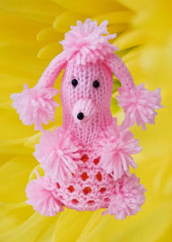 Poodle Chocolate Orange Cosy