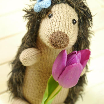 MONI the hedgehog lady / Igel MONI