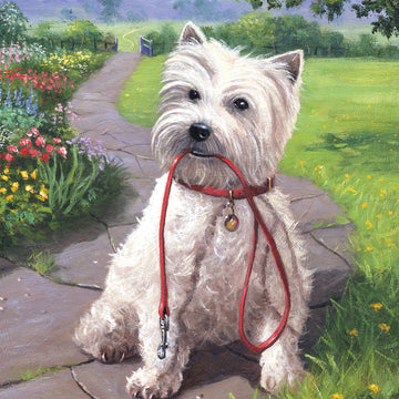 Royal Brush Junior Small Paint By Number Kit 8.75"X11.75" - Time For A Walk