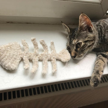 Snuggle Fishbone Halloween Decor & Cat Toy