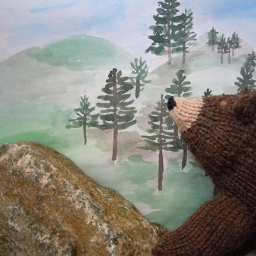 Smoky Mountain Bear