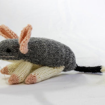 Australian Bilby