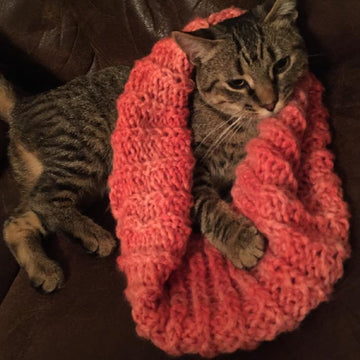 Snapdragon Infinity Scarf