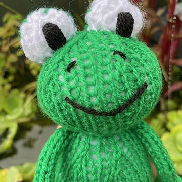 Frog Toy