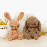 Tilda and Daisy the Small Bunnies
