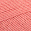 Light Coral (264)