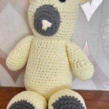 Theodore The Bear