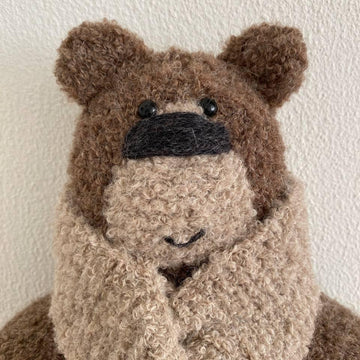 Cozy Buddy Bear