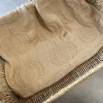 Autumn Pumpkin Knit Blanket