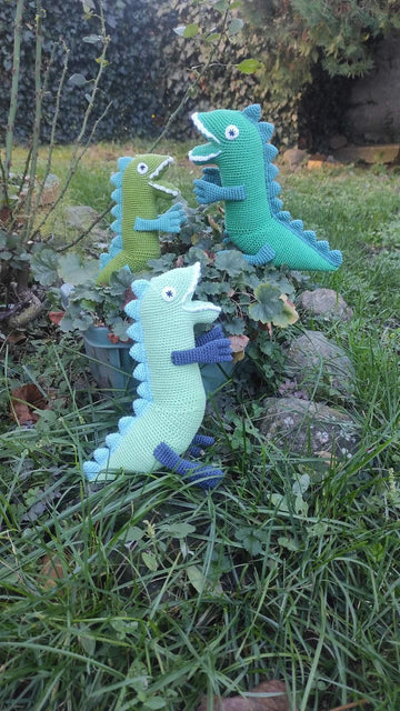 Mr Dinosaur