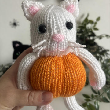 Pumpkin kitty