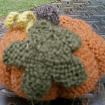 Pumpkin Patch