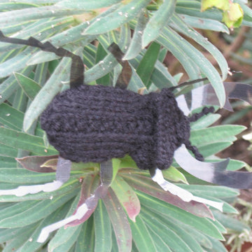 Stag Beetle