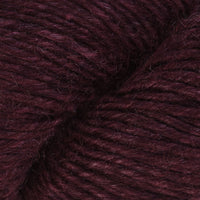 Raisin (40)