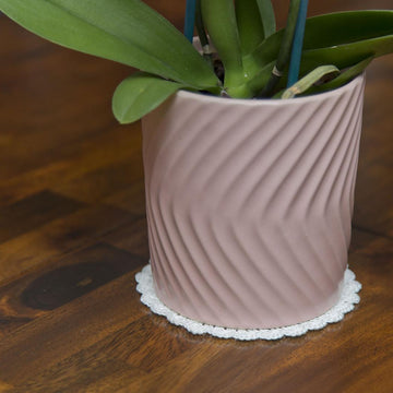 Simple Scalloped Doily