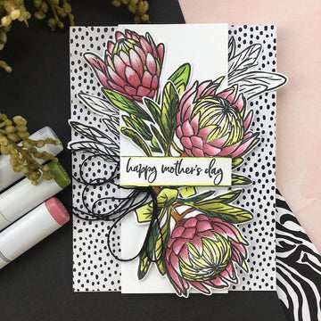Hero Arts Frame Cut Dies - Protea Flowers