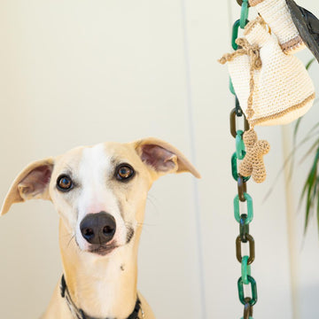 Dog Treat and Poop bag holder
