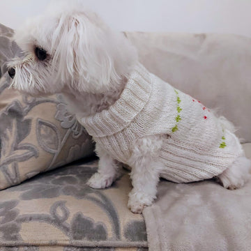 Red star dog jumper