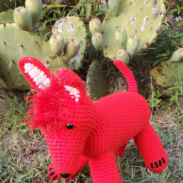 Xolo the Mexican Hairless