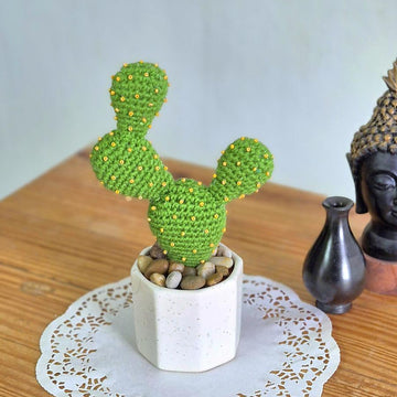 Prickly pear cactus