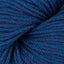 Blue Moon (51191)