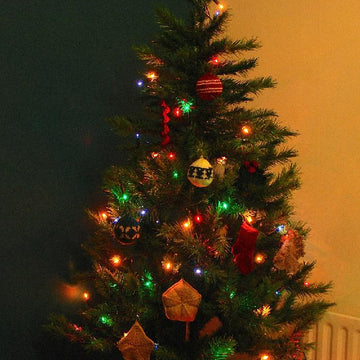 Christmas Fancies