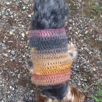 Simple Small Dog Sweater