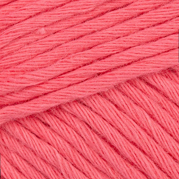 Calypso Coral (111)