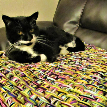Tilly's New Bed