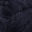 BLACK PANTHER (208AT)