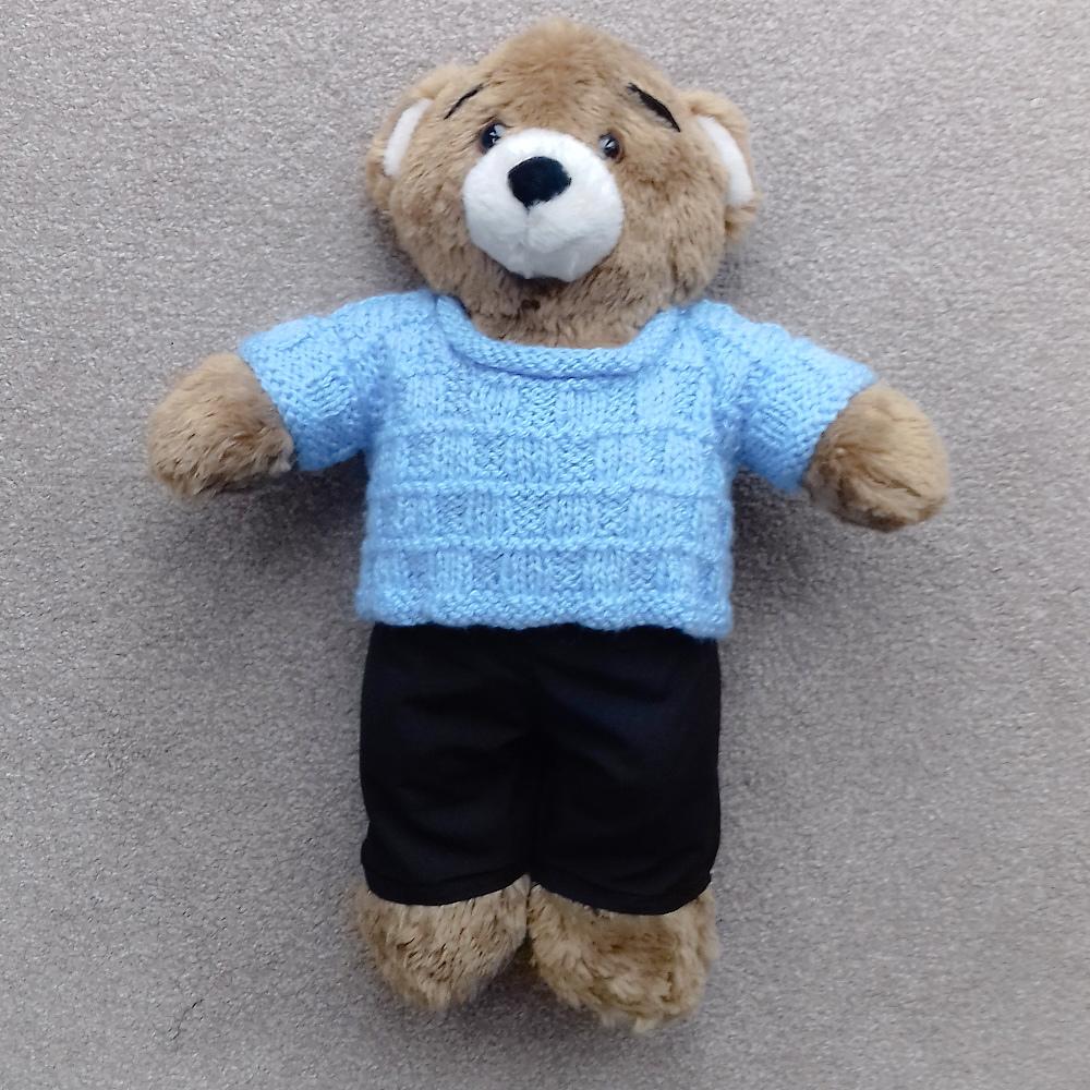 Cloud Blue Sweater for Teddy