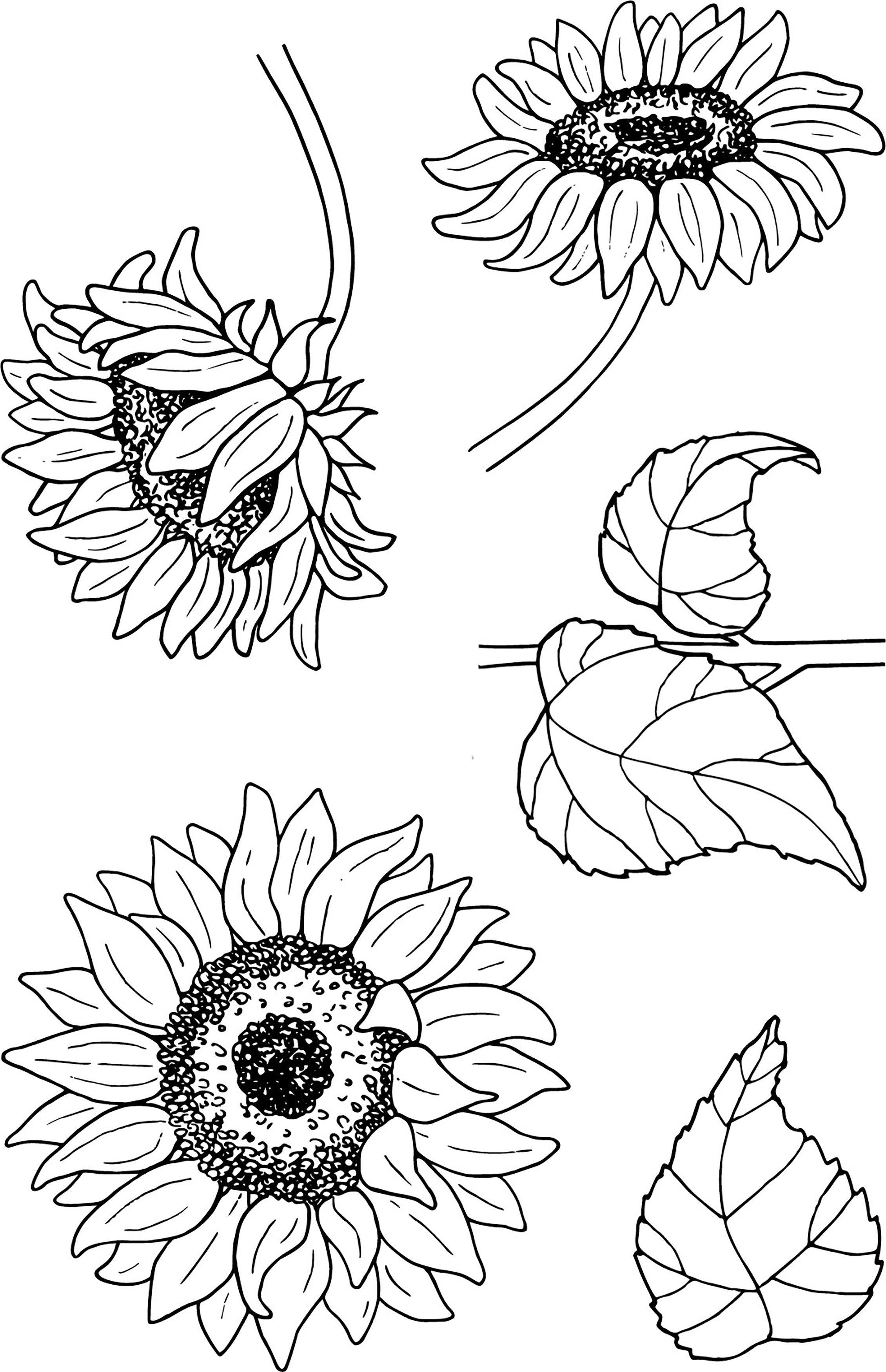Jane's Doodles Clear Stamps 4"X6" - Sunflowers