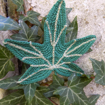 Big Ivy leaf, beautiful leaves