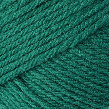 Ella Rae Superwash Classic