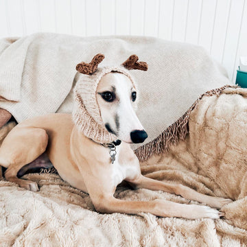 Doggo no 7 snood