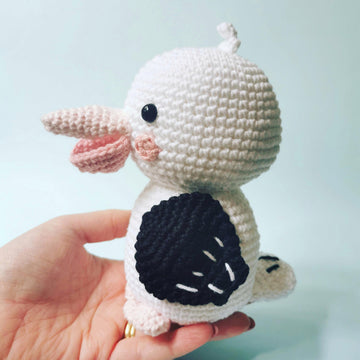 Saffron the Pelican