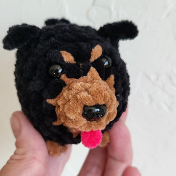 Pocket Rottweiler