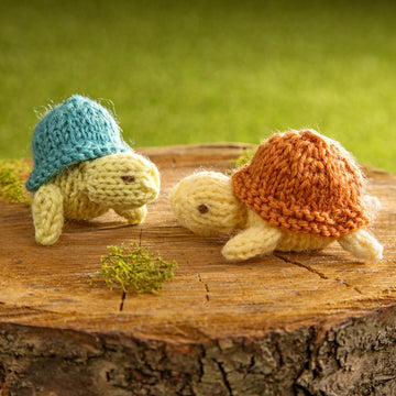 Turtle Family