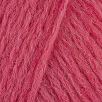 Fuchsia (014)