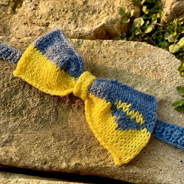 A Papillon for Ukraine