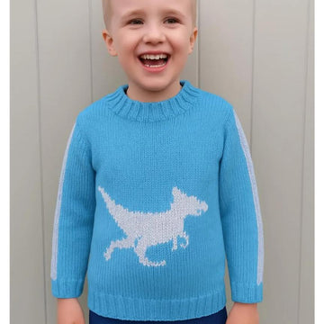 Chunky Graciliceratops  Dinosaur Sweater