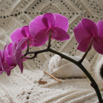 Cozy Night Throw
