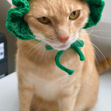 Cutie Pet Headband
